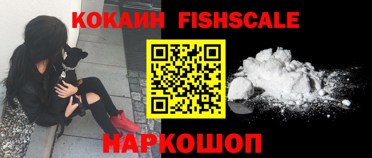 Cocaine FishScale Соль-Илецк