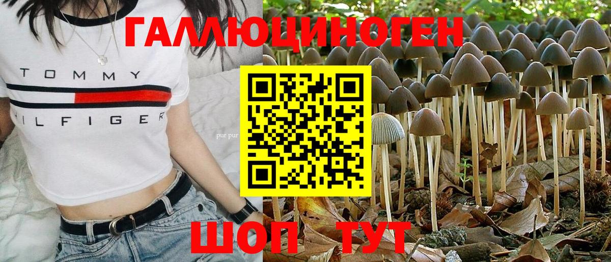 Галлюциногенные грибы Psilocybe Соль-Илецк