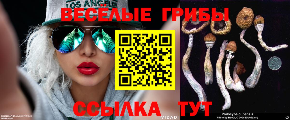 Соль-Илецк  Канабис  Мефедрон   Вход с VPN  Гашиш  Cocaine 